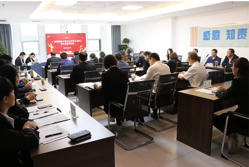 �����u�r��ʽ ��������Ч������䓼��F��˾���_2022��������������O���u�r��