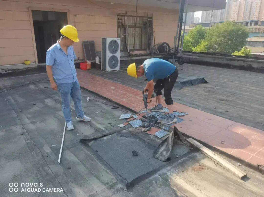 �������������Ƴɣ��fͬ�^�M�Q���չ�