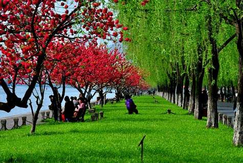 �������g������