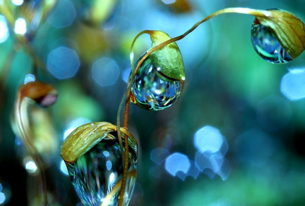 �� �� �S ��