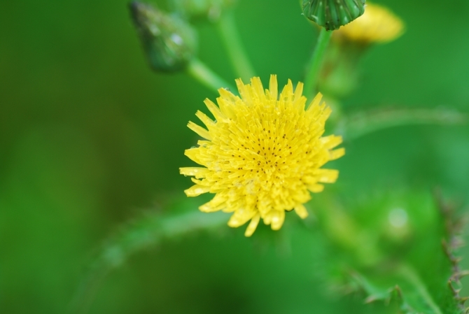 �� �� �S ��