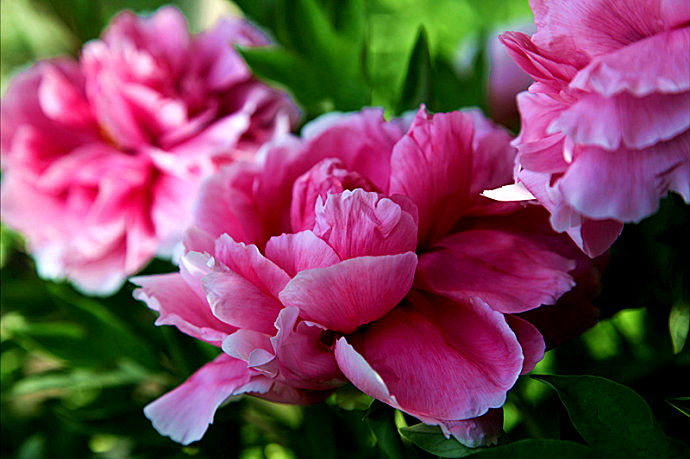 ף���������ĸ�H