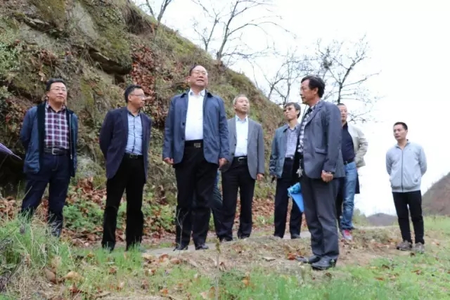 龍鋼集團領導到大西溝礦業公司調研指導多元產業發展工作 龍鋼集團領導到大西溝礦業公司調研指導多元產業發展工作