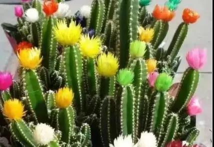 �G��֮�ԏ���