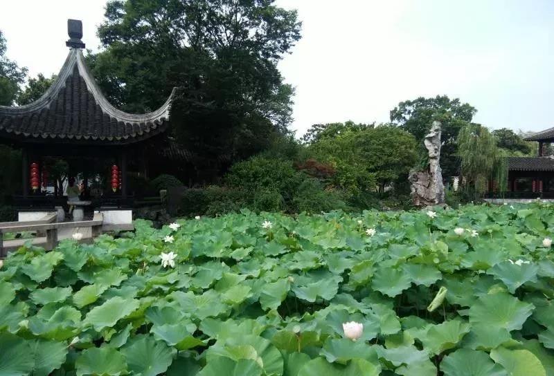 江南之旅 江南之旅