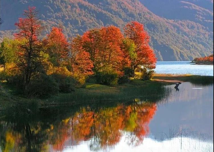 秋風(fēng)迎華誕 秋風(fēng)迎華誕