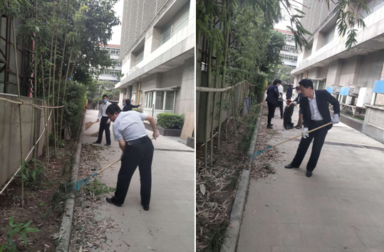 美化環境齊動手 義務勞動展風采——禹龍國際酒店組織黨員干部義務勞動 美化環境齊動手 義務勞動展風采——禹龍國際酒店組織黨員干部義務勞動